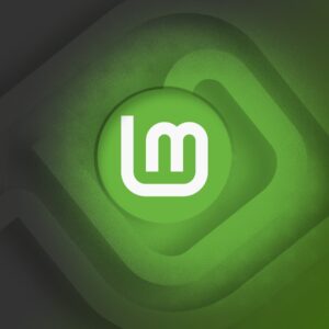Linux Mint 22.2 Cinnamon – Clé USB bootable