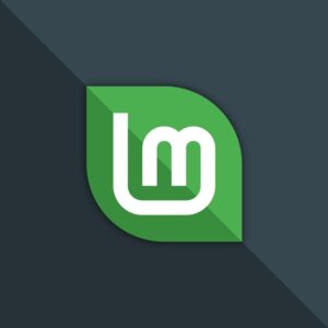 Linux Mint 22.2 Cinnamon XFCE – Clé USB bootable