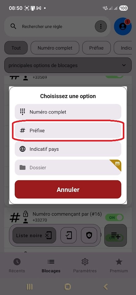 Préfixe bloqueur 2
